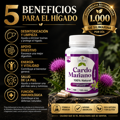 Cardo Mariano 500mg® 60 Capsulas